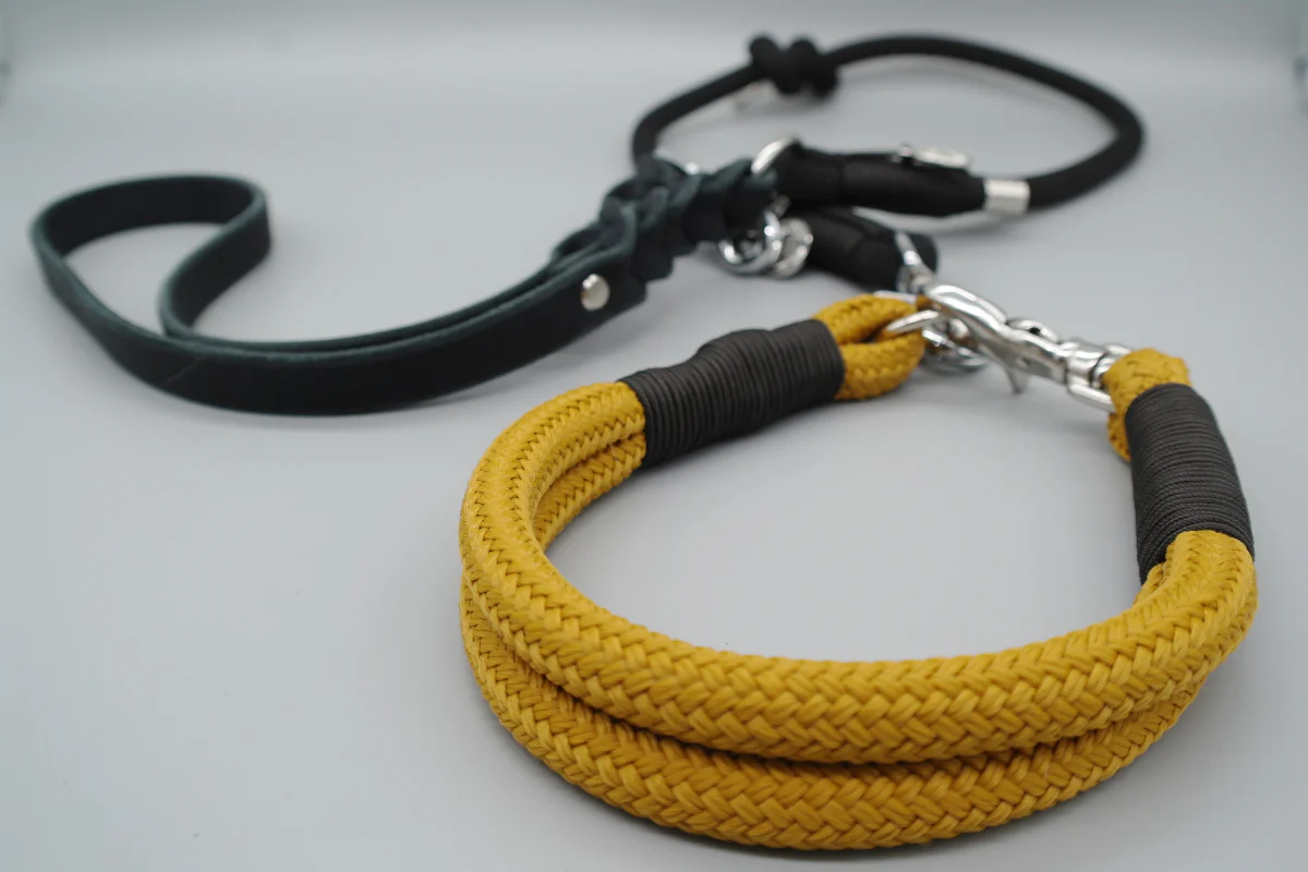 Leine & Halsband "Palermo" von LEINENREICH