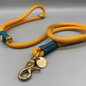 Hundeleine Padua - senfgelb, tannengrün, Messing Kombination