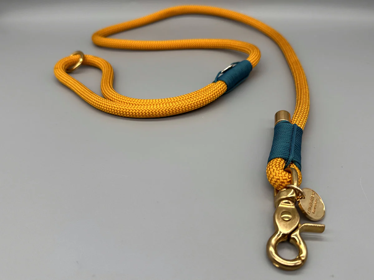Hundeleine Padua - senfgelb, tannengrün, Messing Kombination