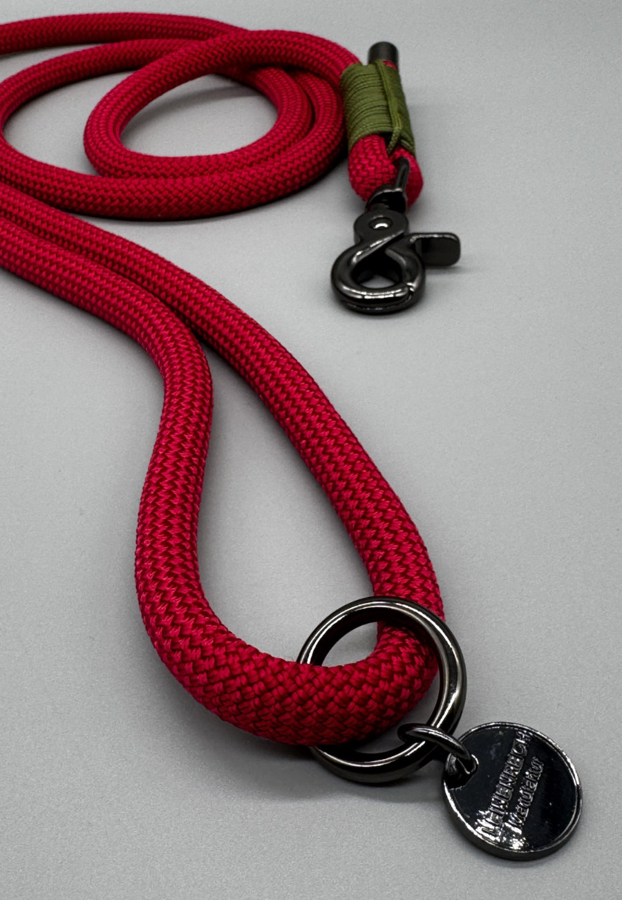 Hundeleine "Ferrara" – Bild 4